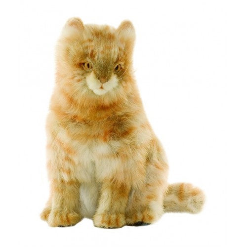 Cat, Tan Calico 13''