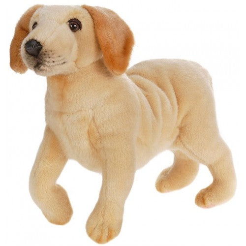 Labrador Puppy 14'' L