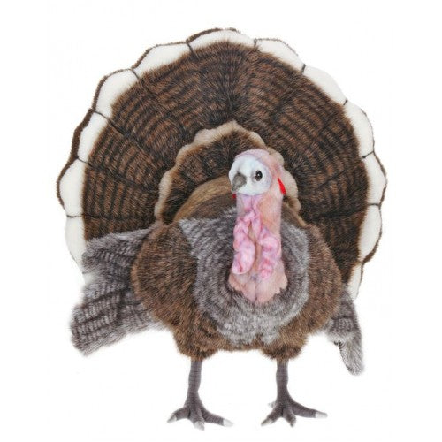 Turkey, Med 19''H