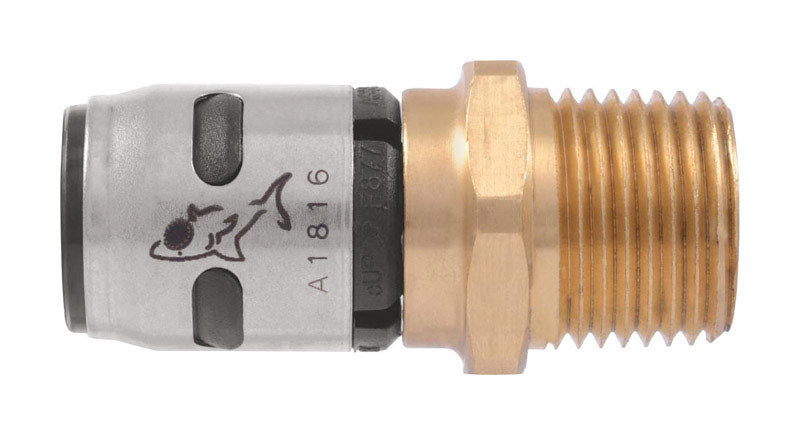 Evopex Ml Adapt 1X 1 (Pack Of 1)