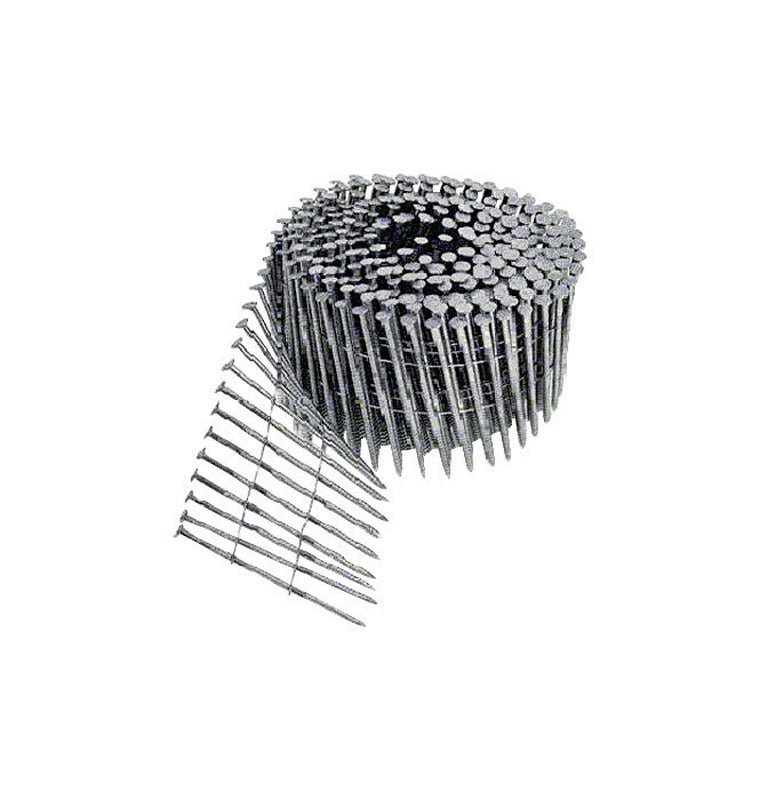 Nail 2-1/2X.090 Ss (Pack Of 1)