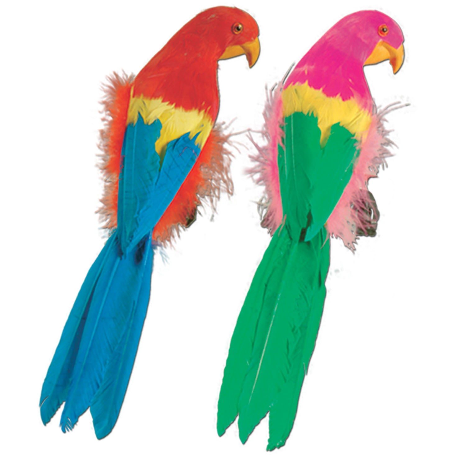 Feathered Parrots (Pack of 6)