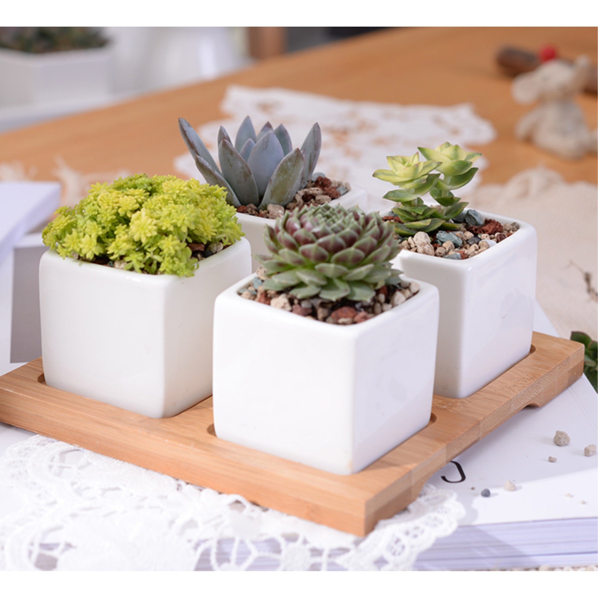 Ceramic Square Flower Pot 4 Piece Set With Bamboo Tray