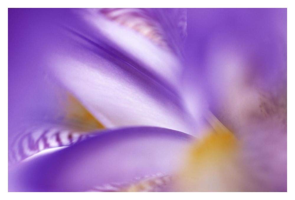 Iris abstract close up-Paper Art-38x26”