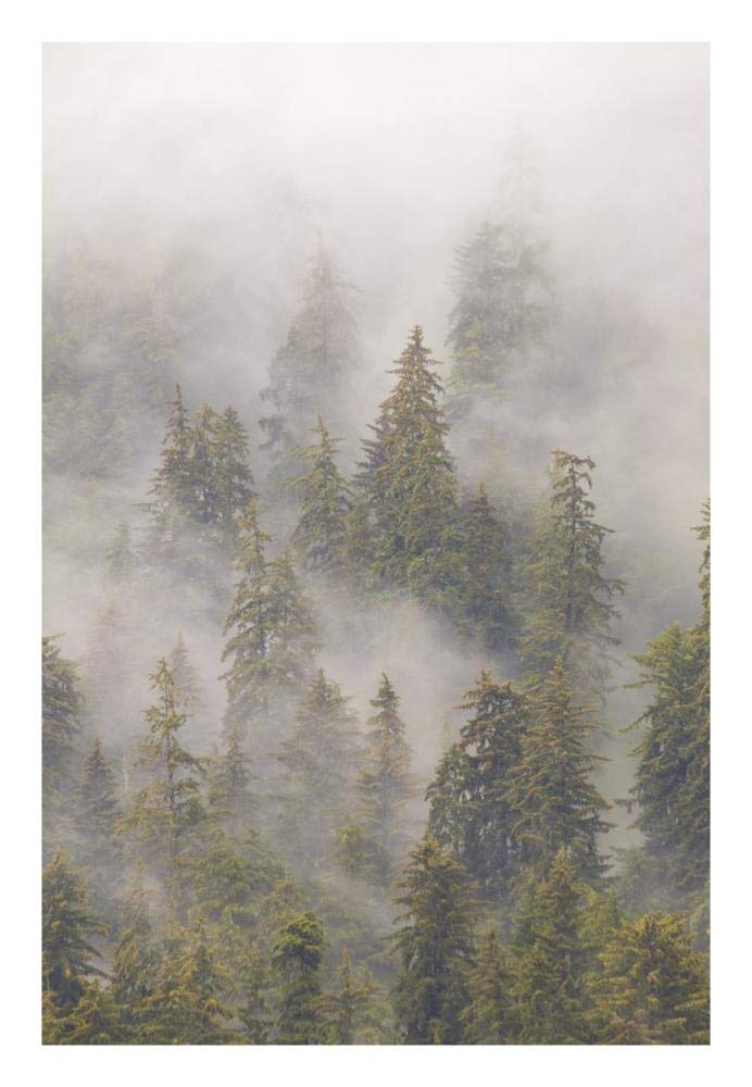 Mist in Tongass National Forest, Juneau, Alaska-Paper Art-18x26”