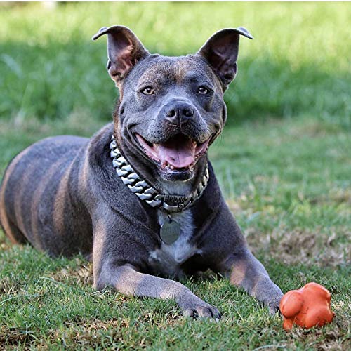 Sodapup Crazy Bounce - Durable Dog Ball Toy & Chew Toy Made In Usa From Non-Toxic, Pet-Safe, Food Safe Natural Rubber Material F