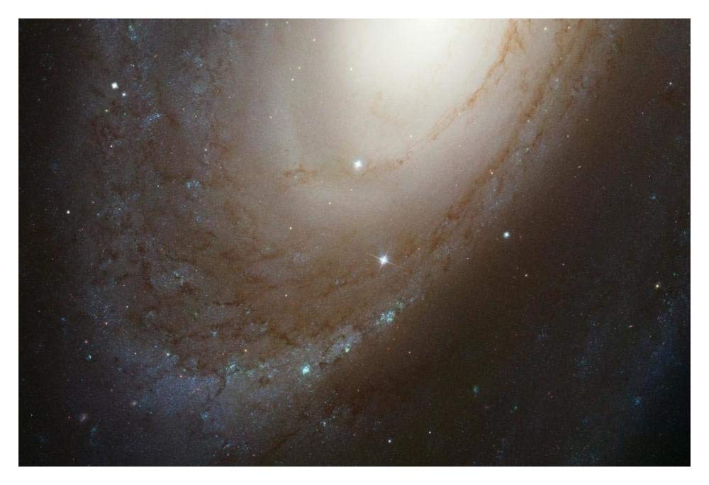 HST ACS Image of M81-Paper Art-20x14”