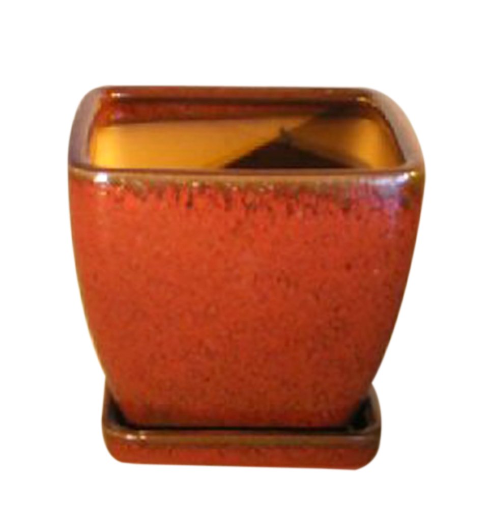 Parisian Red Ceramic Bonsai Pot Square With Attached Tray  6 x 6″ x 6″