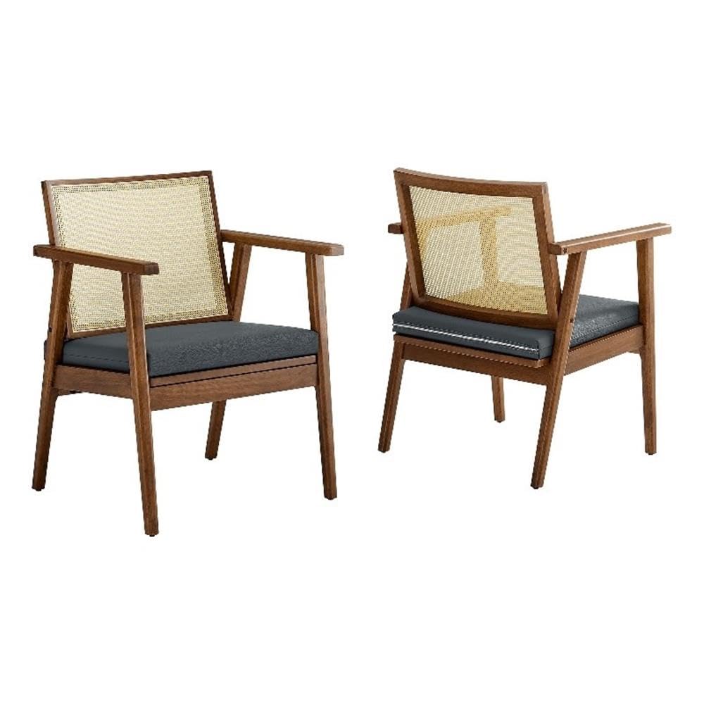 Thera Vegan Leather and Cane Accent Armchairs Set of 2 by Modway