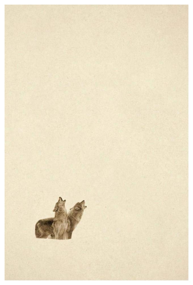 Timber Wolf pair howling in snow, North America - Sepia-Paper Art-42x62”