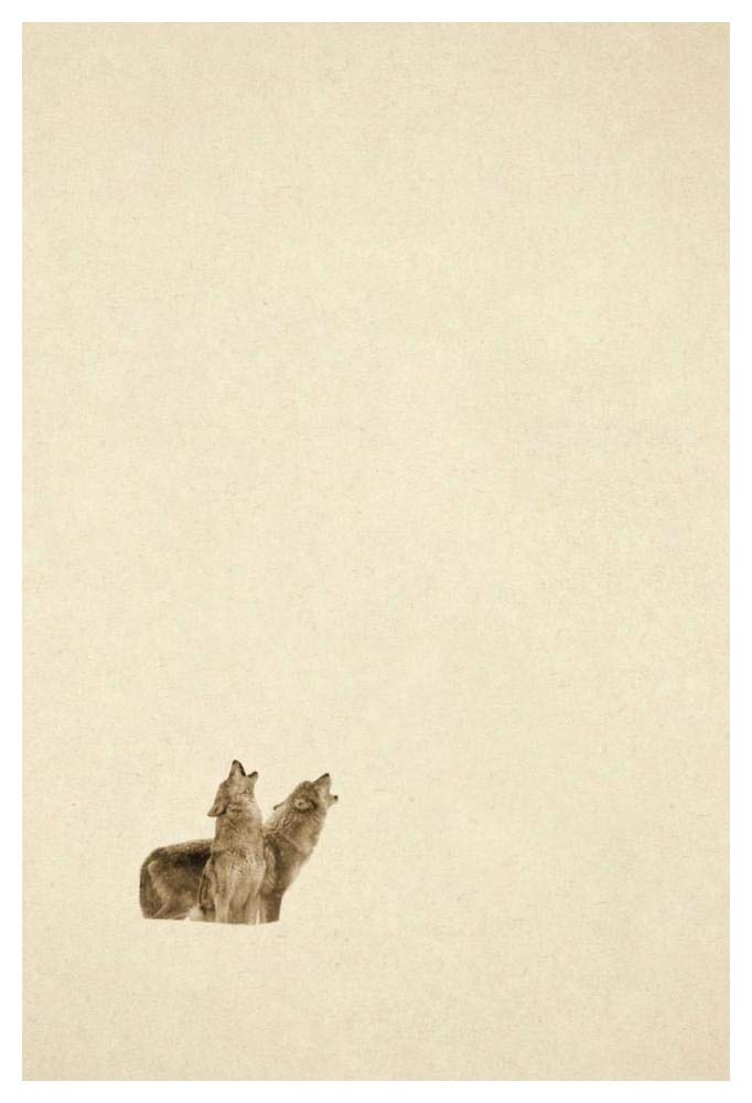 Timber Wolf pair howling in snow, North America - Sepia-Paper Art-34x50”