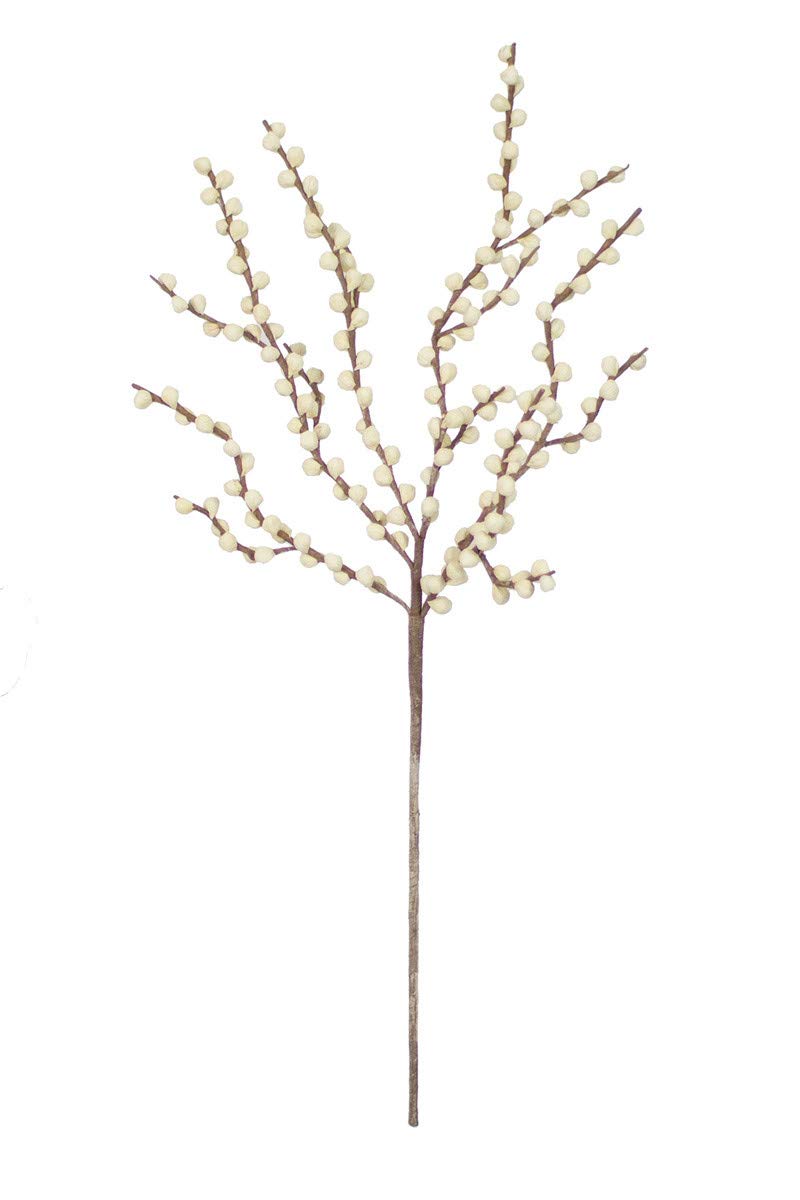 Botanica #2290