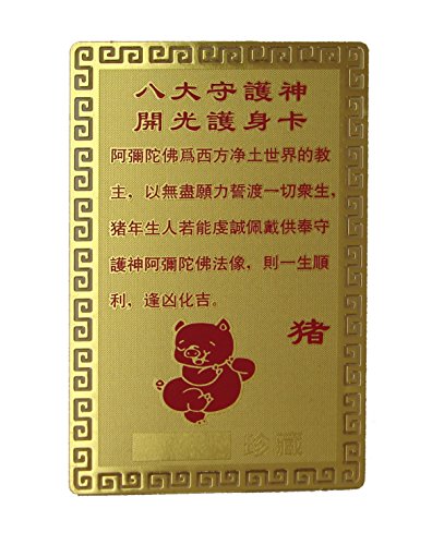 Boar Horoscope Guardian Card Talisman