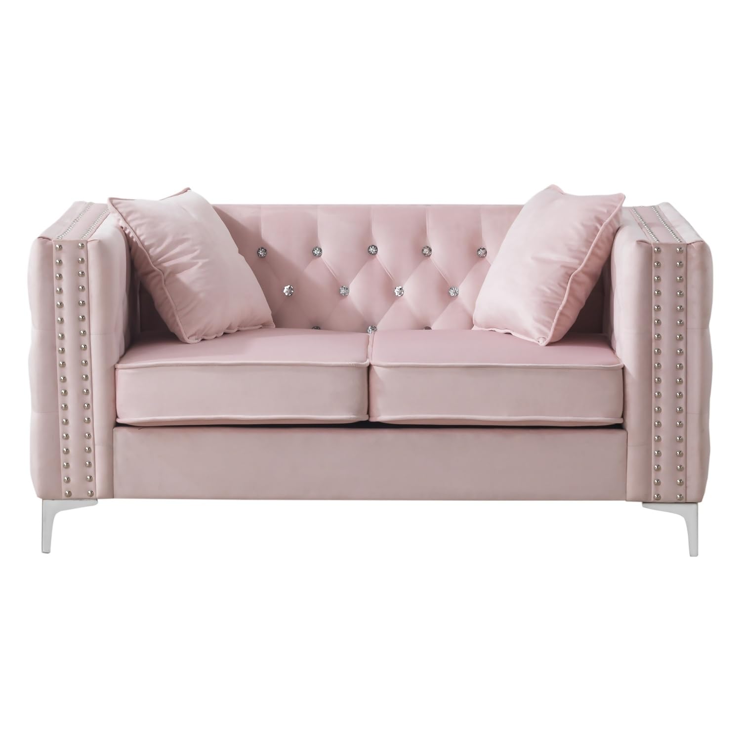 Paige 63 in. Pink Velvet 2-Seater Sofa with 2-Throw Pillow