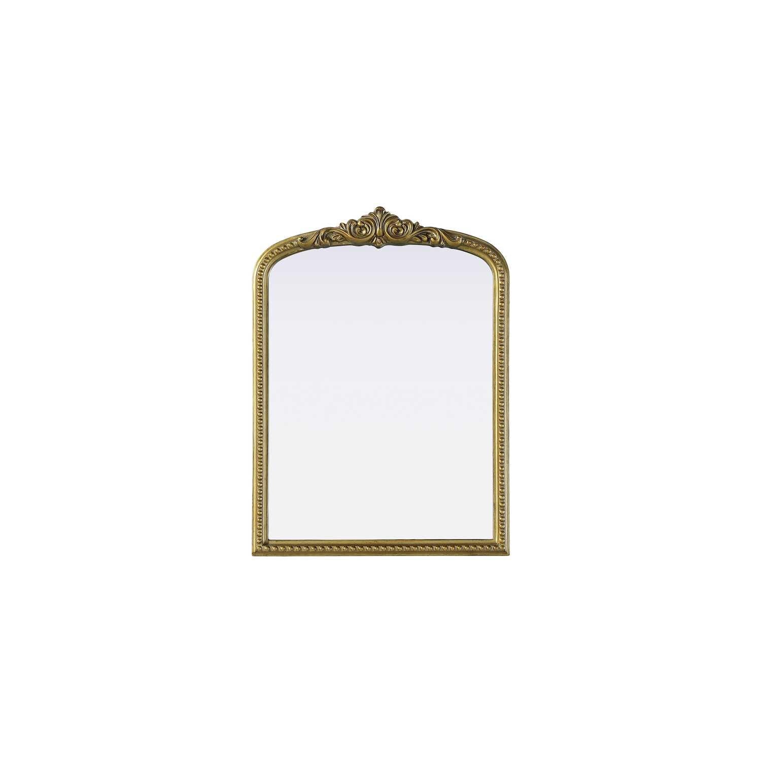 Naomi Vintage Resin Mirror 22x30 in Antique Brass