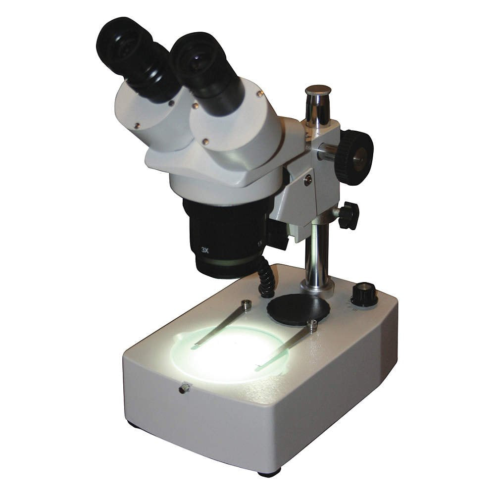 DM-Dual Mag Stereoscope 10x/30x on pole stand (no light)
