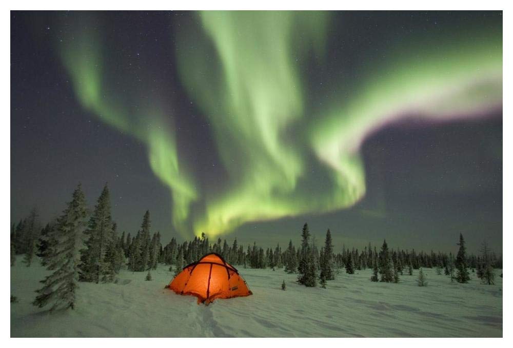 Northern lights or aurora borealis over illuminated tent, boreal forest, North America-Paper Art-50x34”