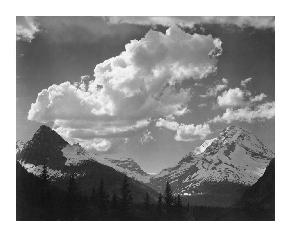 Trees in Glacier National Park, Montana - National Parks and Monuments, 1941-Paper Art-18x15”