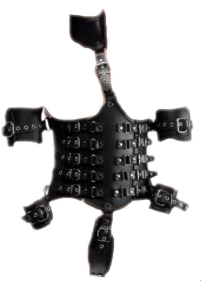 Ultimate Lockdown Female Waist Cincher