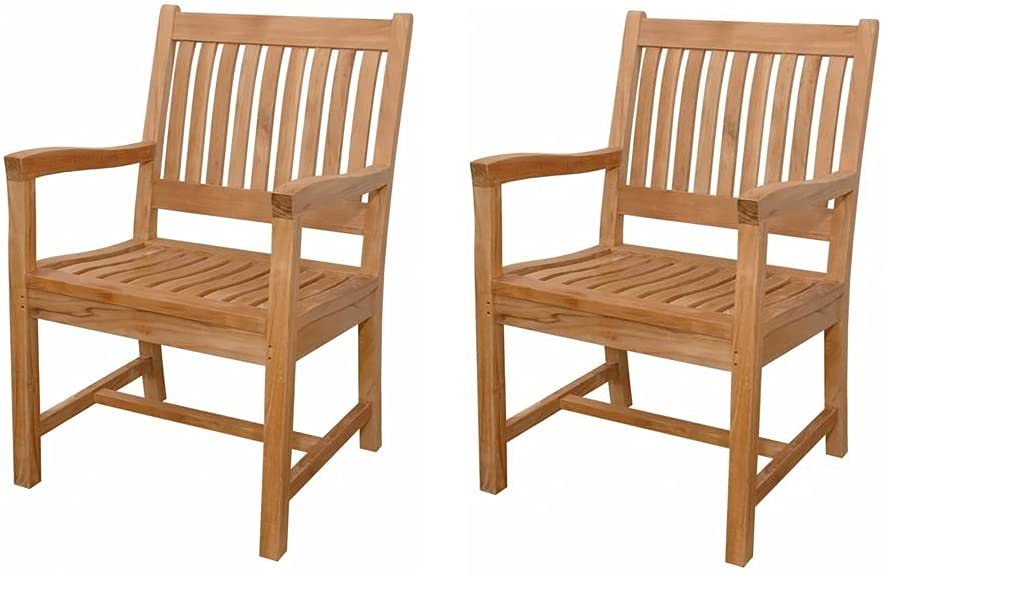 Rialto Dining Arm Chair (Set of 2)