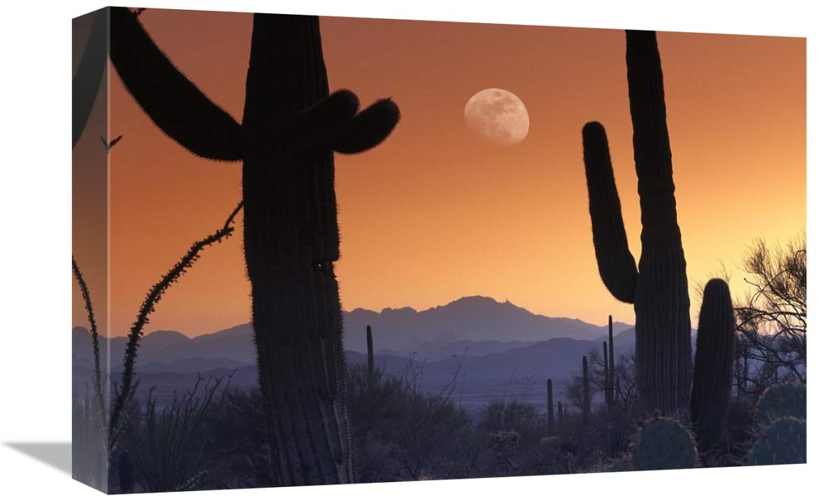 Kitt Peak under moon from Saguaro National Monument, Arizona-Canvas Art-18x12”