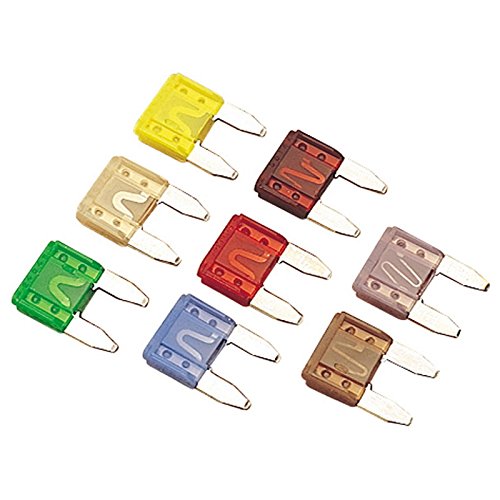 ATM MINISTYLE FUSE20 AMP