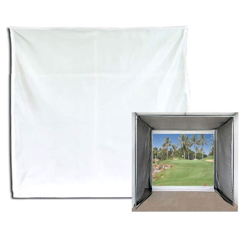 10 x 10 Impact/Projection Screen