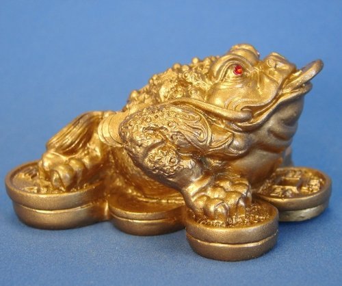 Golden Money Frog