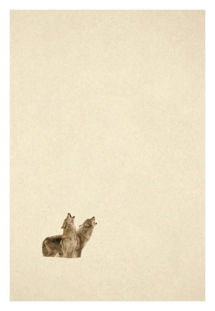 Timber Wolf pair howling in snow, North America - Sepia-Paper Art-22x32”