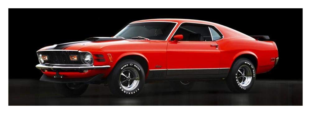 Ford Mustang Mach 1-Paper Art-38x14”