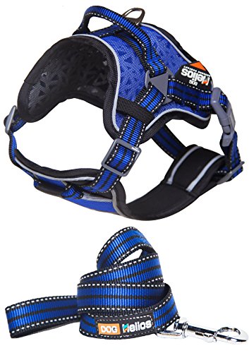 Doghelios Journey Wander Chest Compressive Sporty Adjustable Travel Pet Dog Harness And Leash Combination, Medium, Blue