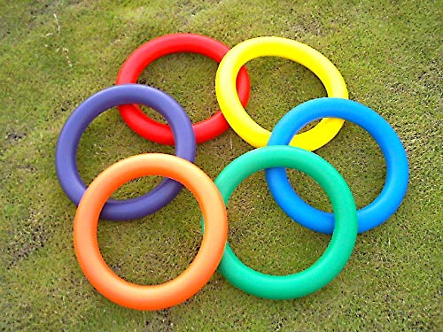Everrich Foam Juggling Ring