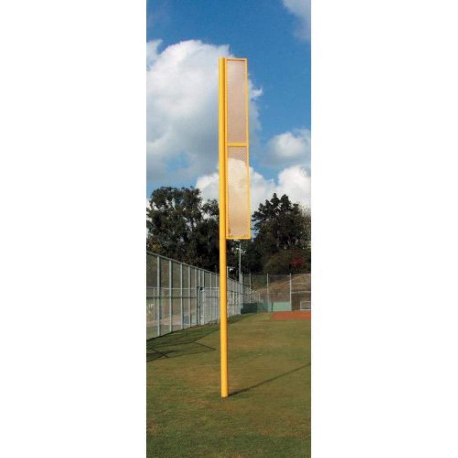 Professional 20 Foul Pole