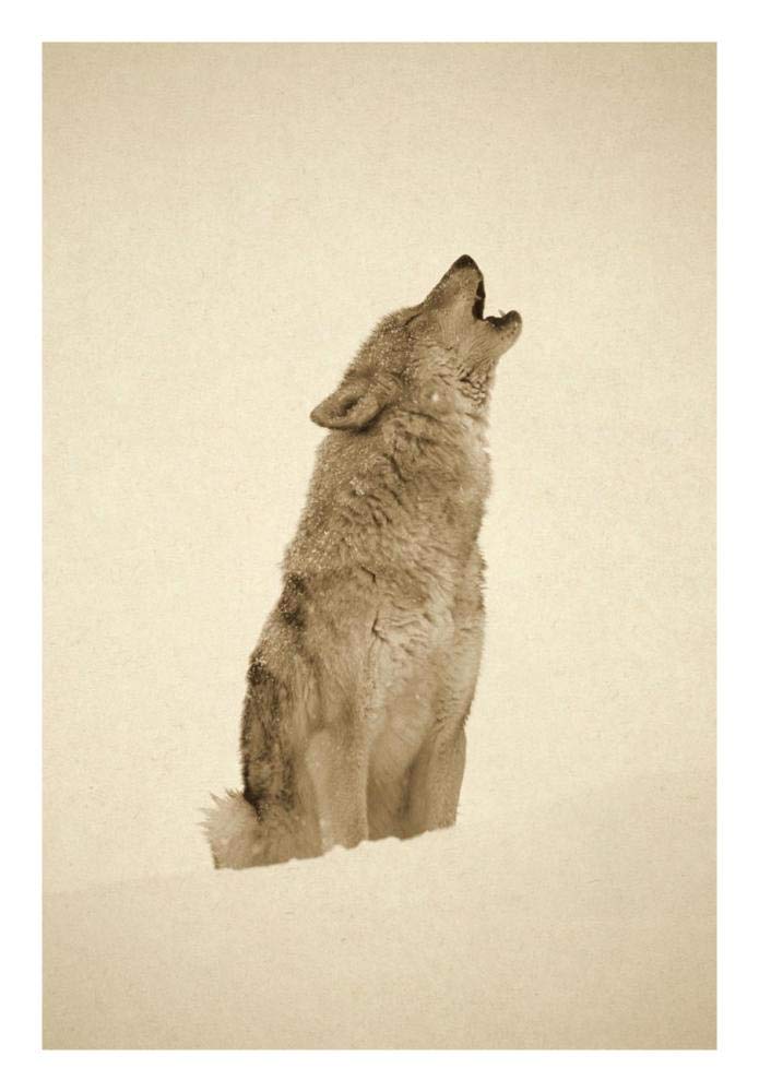 Timber Wolf portrait, howling in snow, North America - Sepia-Paper Art-20x26”