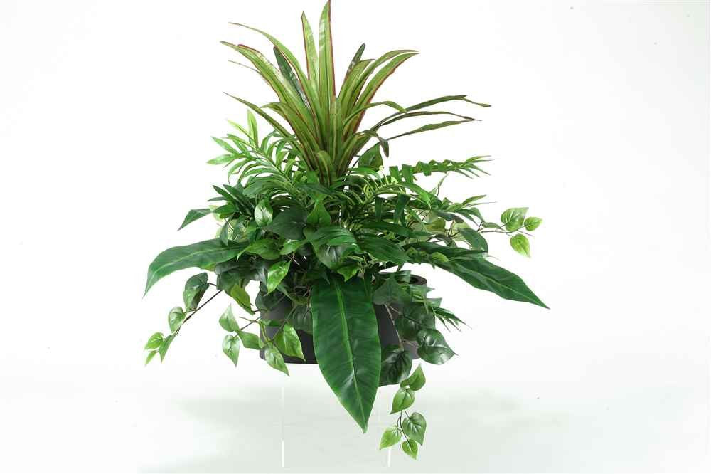 Green/Brown Grass in Small Matte White Bowl