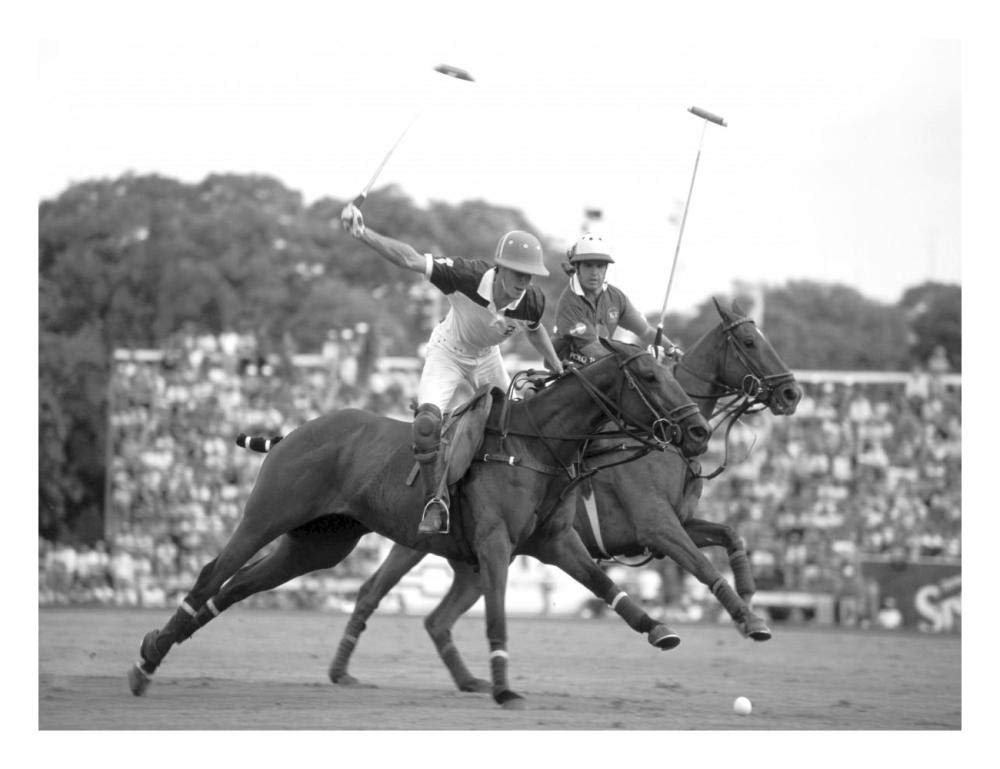 Polo players, Argentina-Paper Art-26x20”