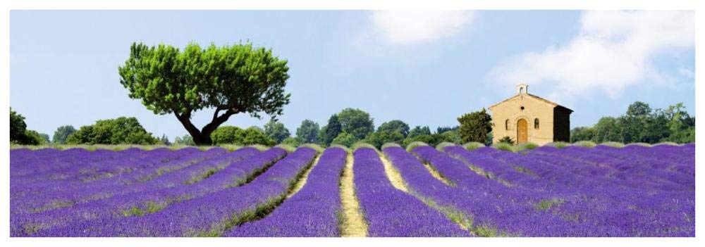 Lavender Fields, France-Paper Art-74x26”