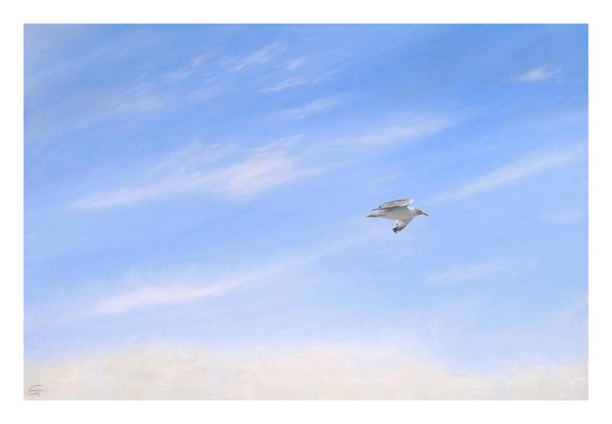 Seagull 1 -Paper Art-26x18”