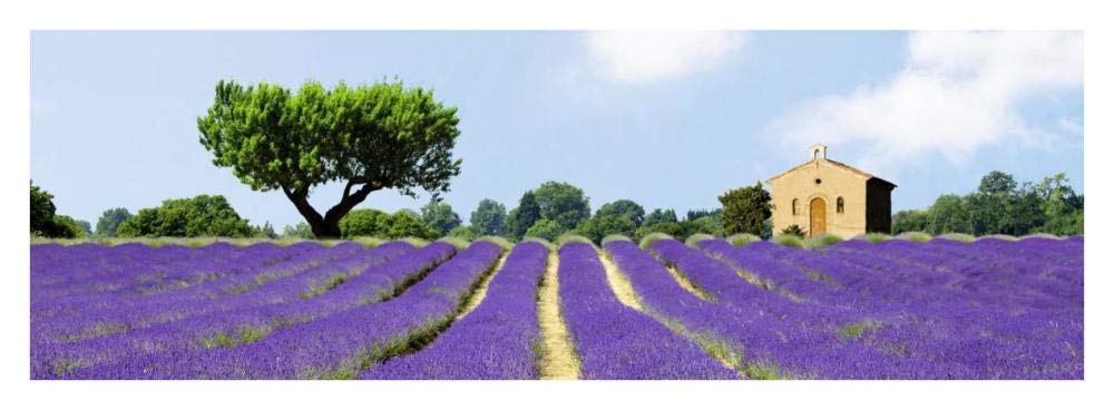 Lavender Fields, France-Paper Art-38x14”