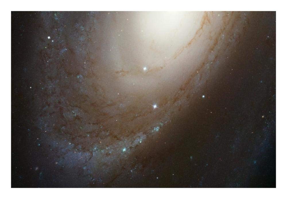 HST ACS Image of M81-Paper Art-26x18”