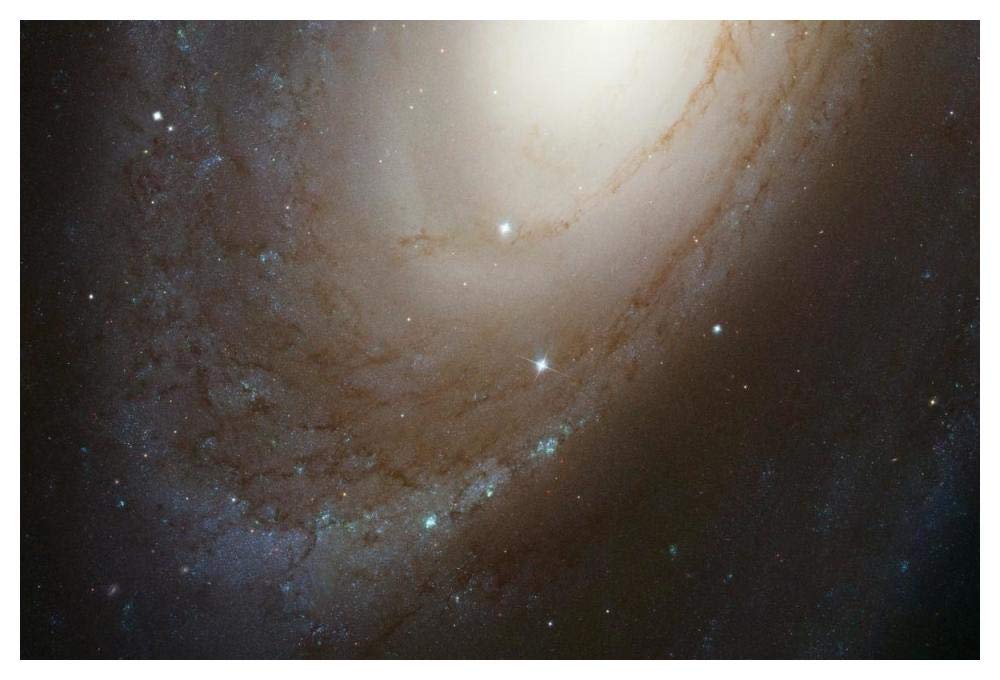 HST ACS Image of M81-Paper Art-50x34”