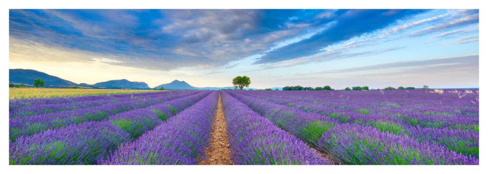 Lavender Field, France-Paper Art-56x20”