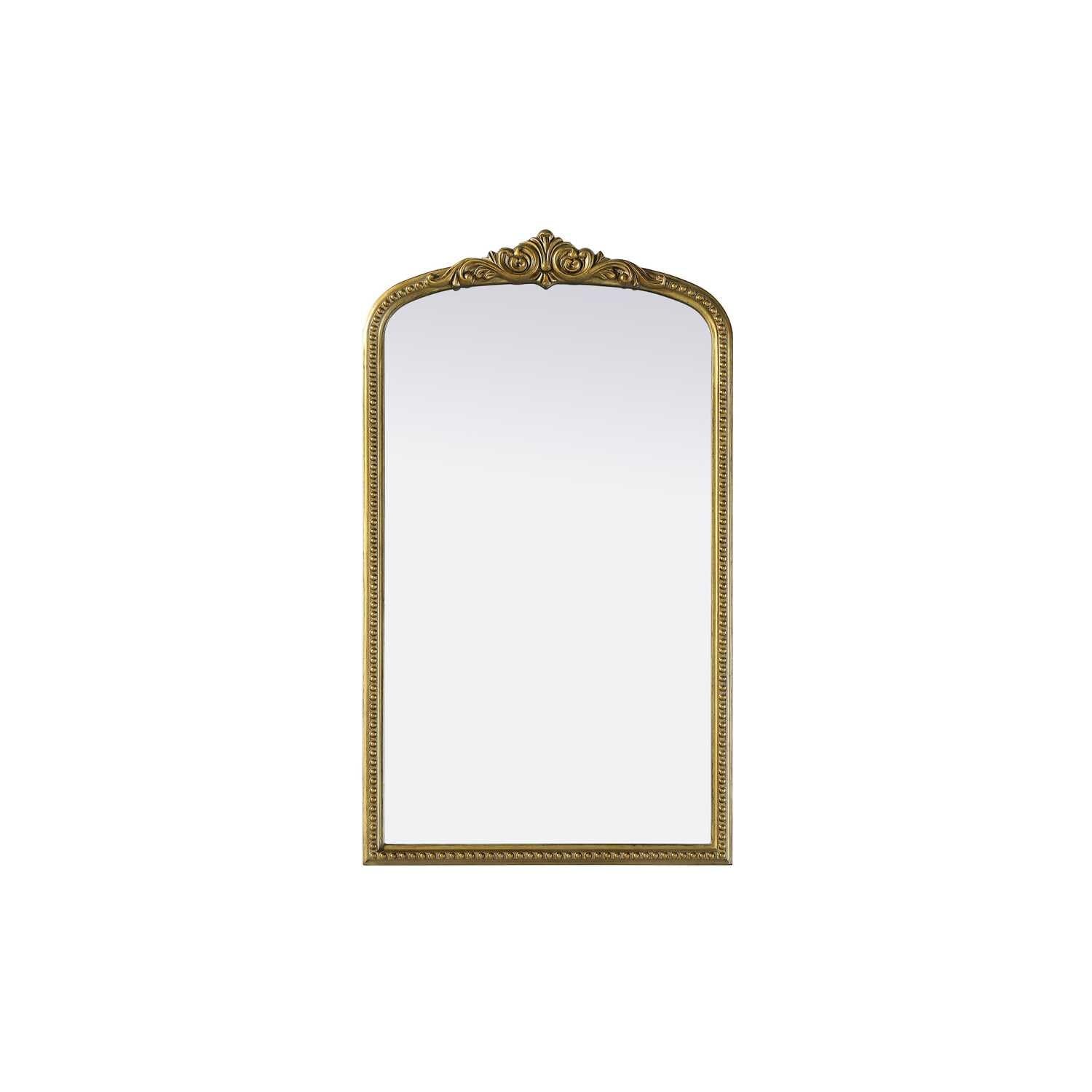Naomi Vintage Resin Mirror 24x42 in Antique Brass