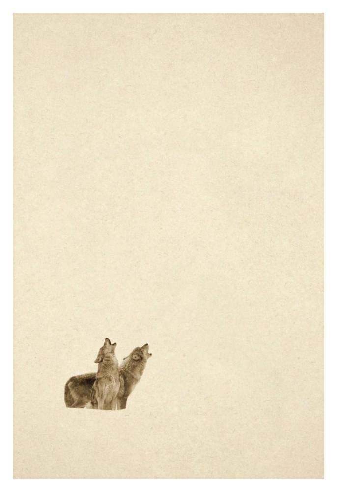 Timber Wolf pair howling in snow, North America - Sepia-Paper Art-14x20”