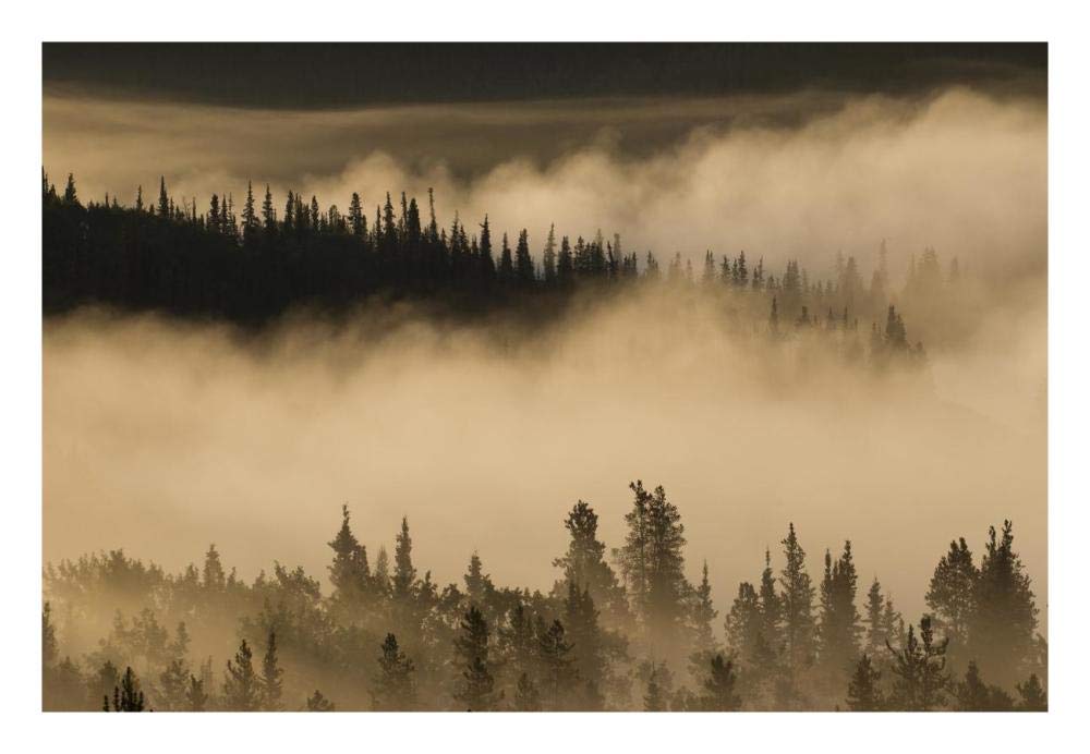 Morning fog near Swan Lake along the Alaska Highway, Yukon, Canada-Paper Art-26x18”