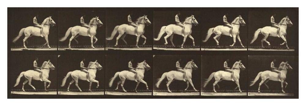 Motion Study: Man Riding A Horse-Paper Art-42x14”