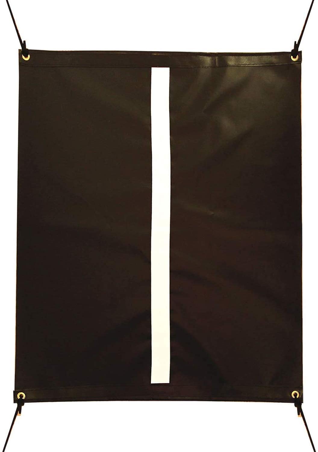 Cimarron Sports Outdoor/Indoor Vinyl Golf Swing Training Aid Target Hitting Net for Accuracy, Black( Pack of 2 )
