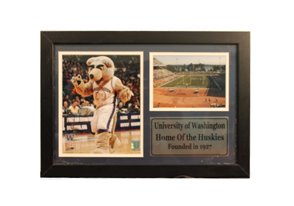 12x18 Photo Stat Frame - Univ of Washington