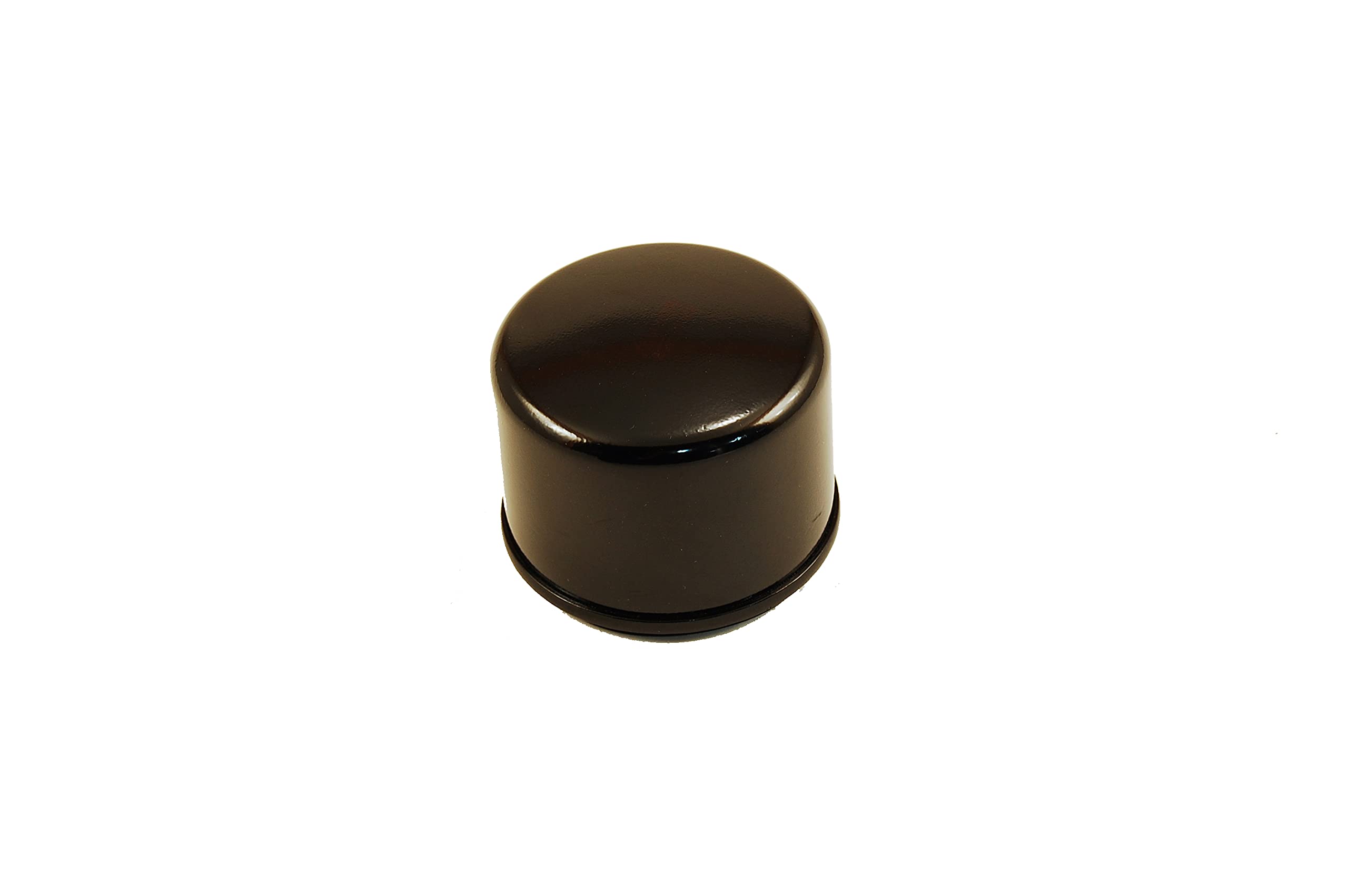 FILTER OIL B&S (Pack of 1)