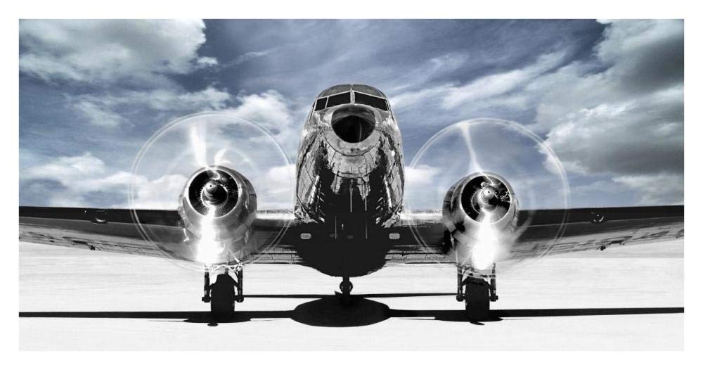Airplaine taking off in a blue sky-Paper Art-38x20”